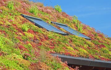 Heck living roof systems